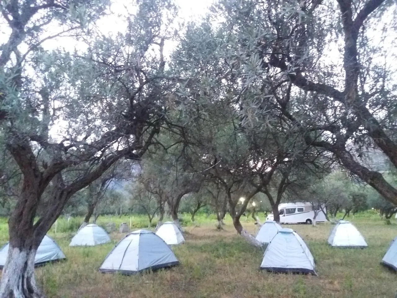 Gold Camping & Caravan Park Hotel Borsh 0*,  Albanië